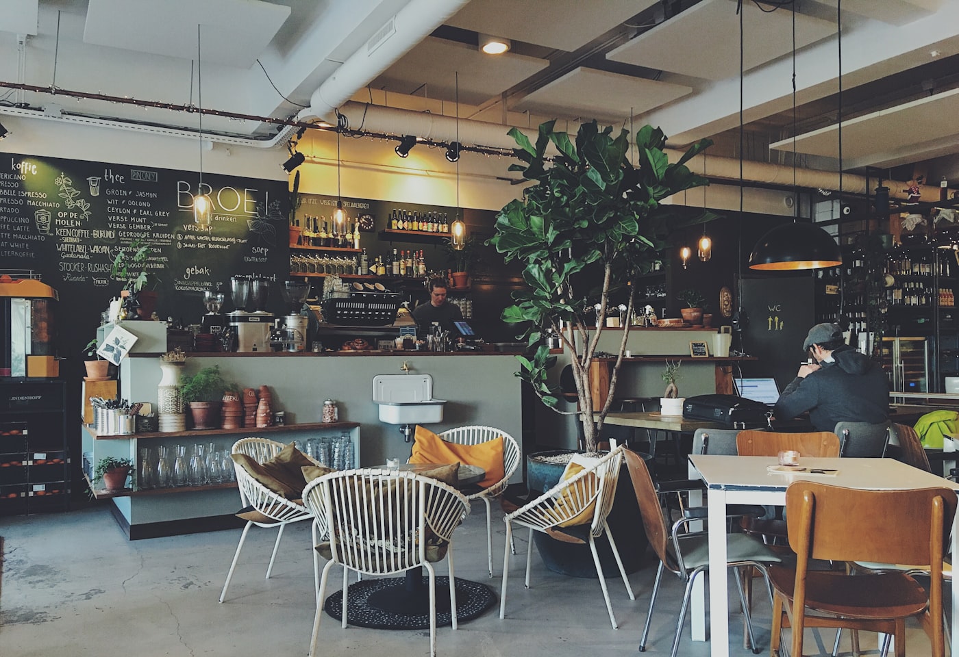 Morning light across the window counter at RNR Coffee & Cafe, with stools, plants and a barista at the machine